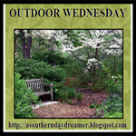 Projektbutteon Outdoor Wednesday by asoutherndaydreamer.blogspot