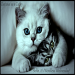 Projektbutteon Wordless Wednesday by curiousasacathy.blogspot